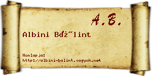Albini Bálint névjegykártya